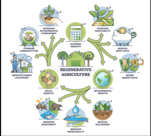 graphic on how regenerative agriculture works 