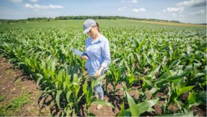 woman studying plantations 