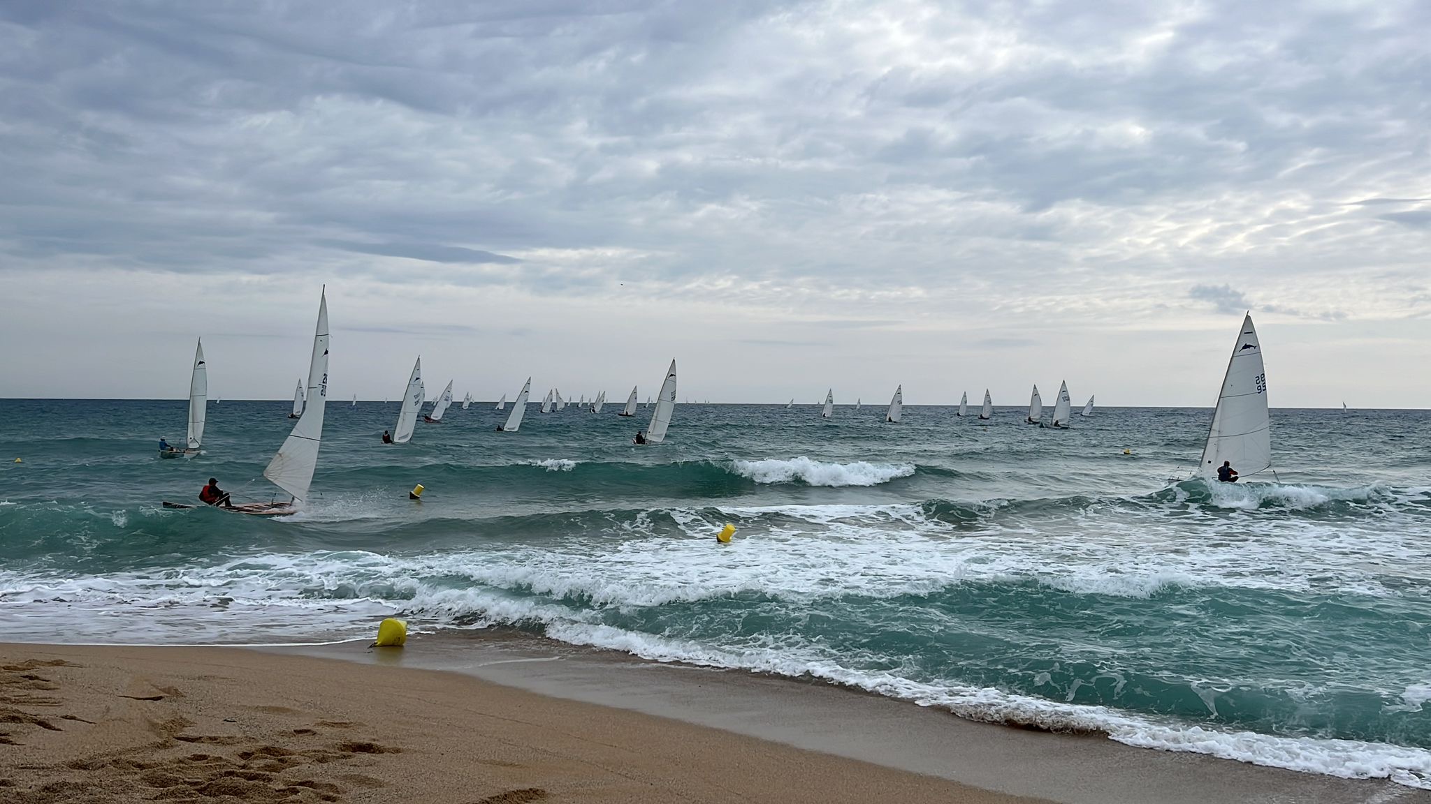 Sail skates sailing