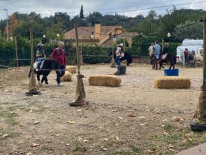 Children riding ponies